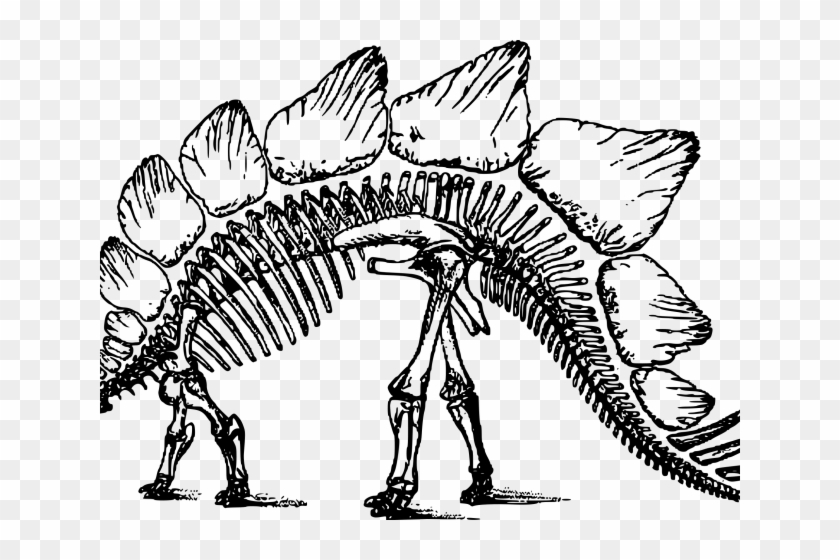 Free On Dumielauxepices Net Stegosaurus - Long Ago Did The Dinosaurs Clipart #998601