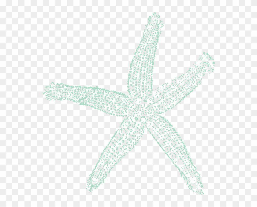 Original Png Clip Art File Sea Blue Starfish Svg Images Transparent Png #998837