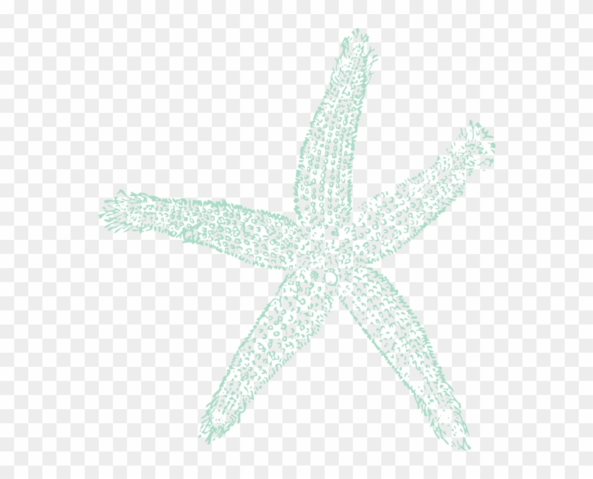 Original Png Clip Art File Sea Blue Starfish Svg Images Transparent Png