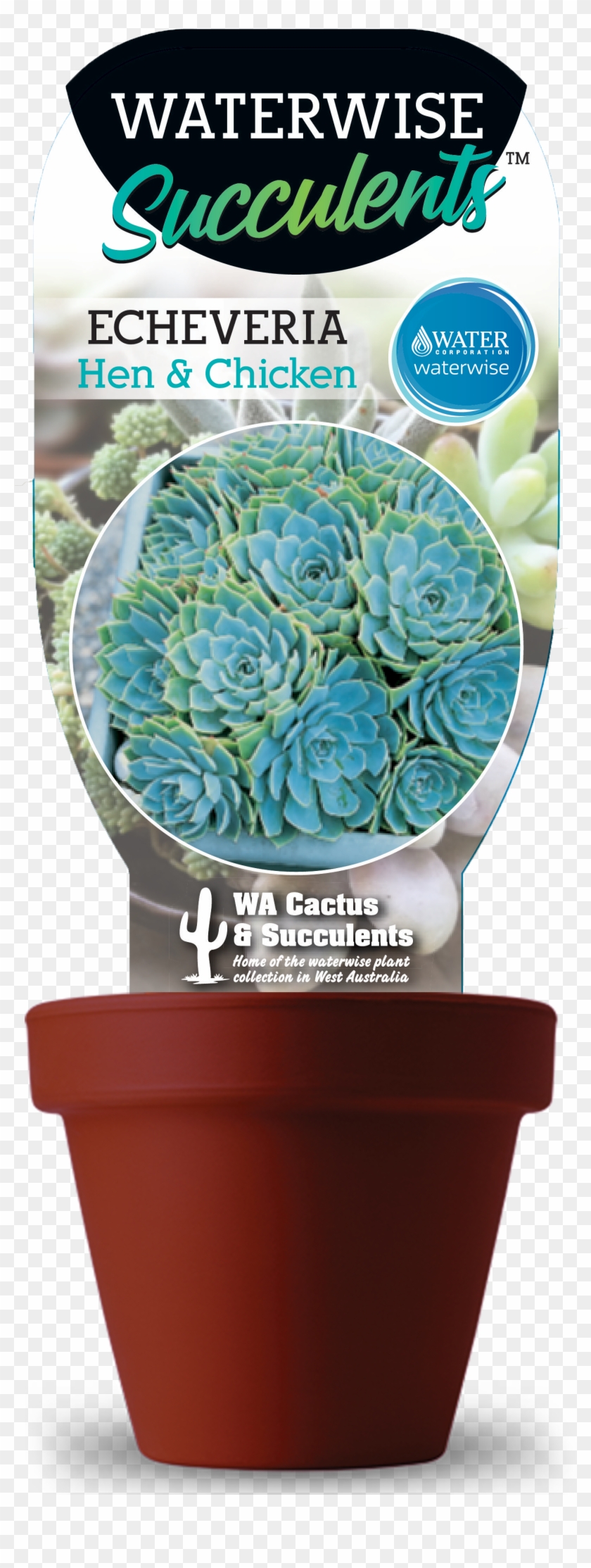 Hen - Cactus Clipart