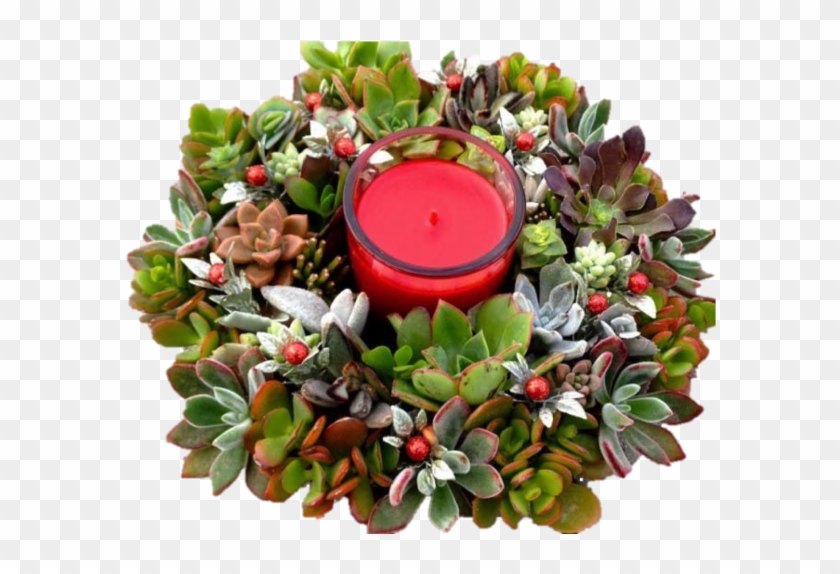 Succulent Centerpiece - Centrepiece Clipart