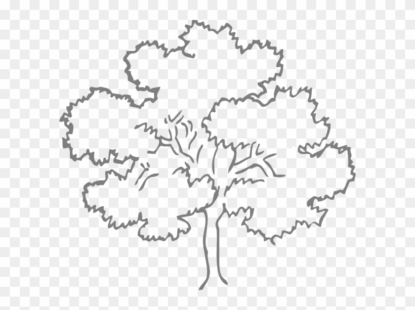Oaktree Png Clipart