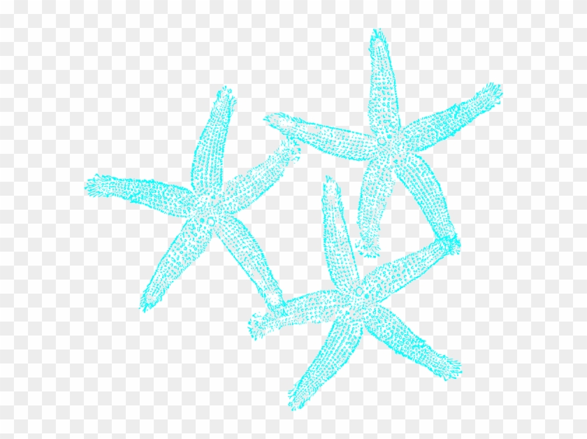 Clip Black And White Download Collection Of Free Anachoret - Coral Starfish Clip Art - Png Download #999393