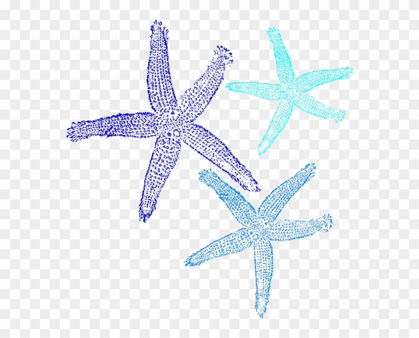 Fish Clip Art - Png Download